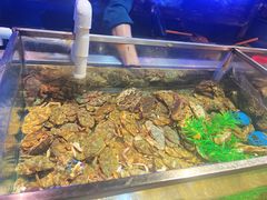 -V-ONE西雅图海鲜自助餐厅(仓山万达广场店)