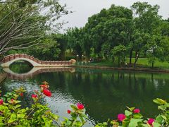-深圳龙潭公园