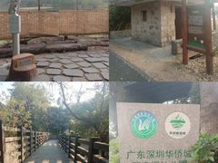 -华侨城湿地公园