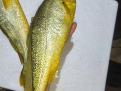 -图味美小黄鱼·景德菜(浙江路店)