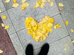 -重庆市江北嘴中央商务区中央公园