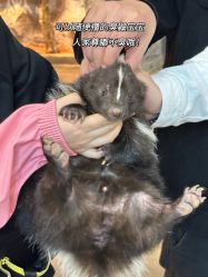 -Zoolung Zoolung动物主题公园(海信广场店)