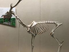 -广东省博物馆