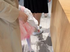 -苏菲艺术教育 | 芭蕾·钢琴(南山书城校区)