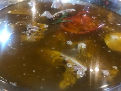 -丽清大别山鹅火锅(红皖家园店)