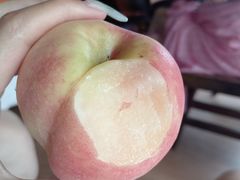 -南汇新场正宗水蜜桃采摘