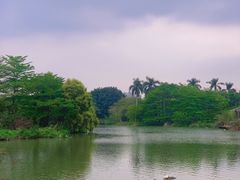 -海珠湖公园