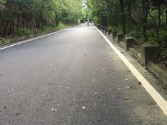 -大屏嶂森林公园