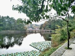 -庐山风景区花径公园