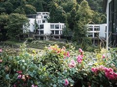 -青城山