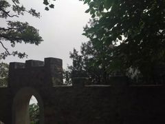 -北京鹫峰国家森林公园