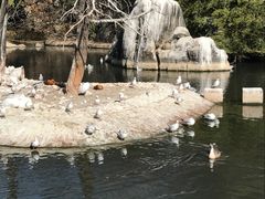 景点-昆明动物园