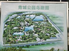 -青城公园