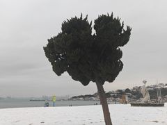 -青岛第一海水浴场