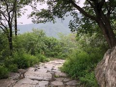 -阳台山自然风景区