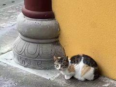 -柏联酒店