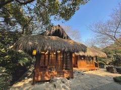 -中国茶叶博物馆(双峰馆区)
