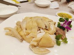 六婶白切清远鸡-六婶西关小厨(光塔路店)