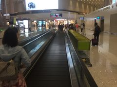 -广州白云国际机场-T2航站楼
