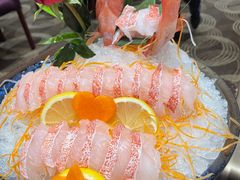 海东星斑-好彩海鲜火锅饭店(银河百老汇店)