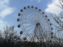 -田野绿世界