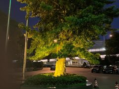 -华雅花园大酒店