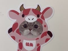 -美联众合爱康动物医院•复杂内科•肿瘤科•牙科•腔镜诊疗中心