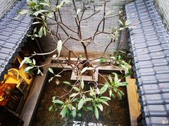 -归觅·西关小姐人文艺术馆(荔枝湾店)