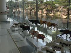 -罗红摄影艺术馆