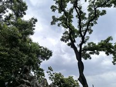 -张学良旧居陈列馆
