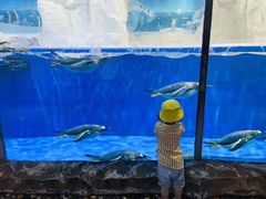 -华夏文旅海洋公园