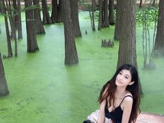 -东湖落雁景区