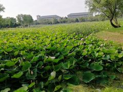 -东南大学(九龙湖校区)