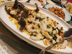 清蒸老虎斑-金悦轩海鲜酒家(拱北店)