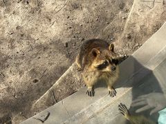 -青藏高原野生动物园
