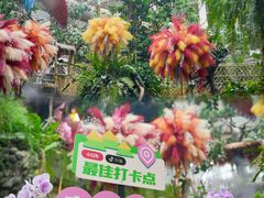 -正佳雨林生态植物园
