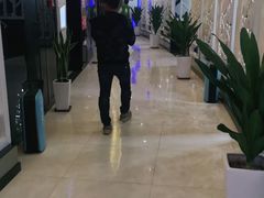 -绿树电竞(五路店)