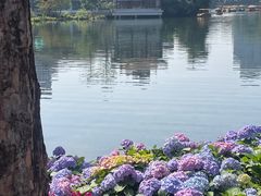 -荔湾湖公园