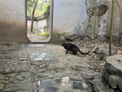 -秋霞圃