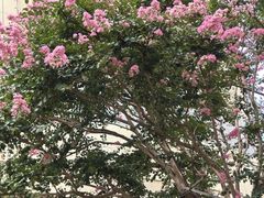 -新粤新疆菜(禅城店)