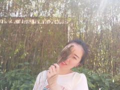 景点-西双版纳原始森林公园