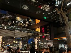 -桂满陇·海市蜃楼·黑金(国金店)