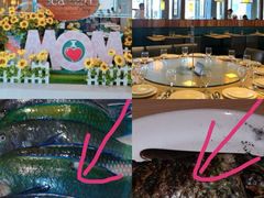 -Isla Sugbu Seafood City