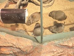 -正佳雨林生态植物园