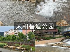 -上南瓦煲鸡·清远鸡·老字号(总店)