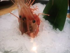 -花和海鲜自助(梅江店)