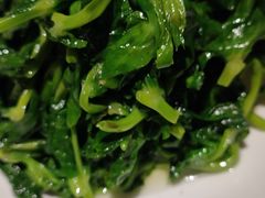 五粮液嫩豆苗-玫瑰厅上海菜(兴国路店)