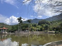 -深圳仙湖植物园
