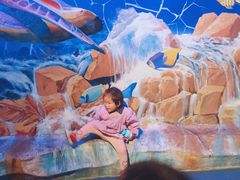 -芜湖新华联大白鲸海洋公园