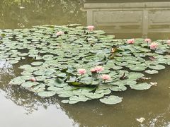 -深圳国际园林花卉博览园